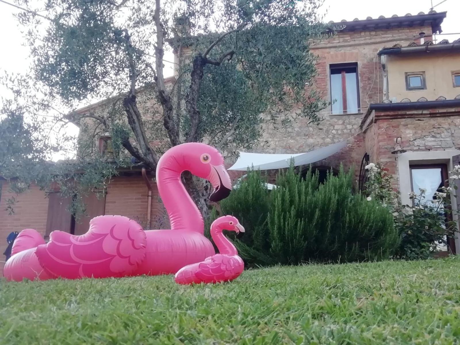 Agli Olivi Di Marciano Apartamento Siena Exterior foto