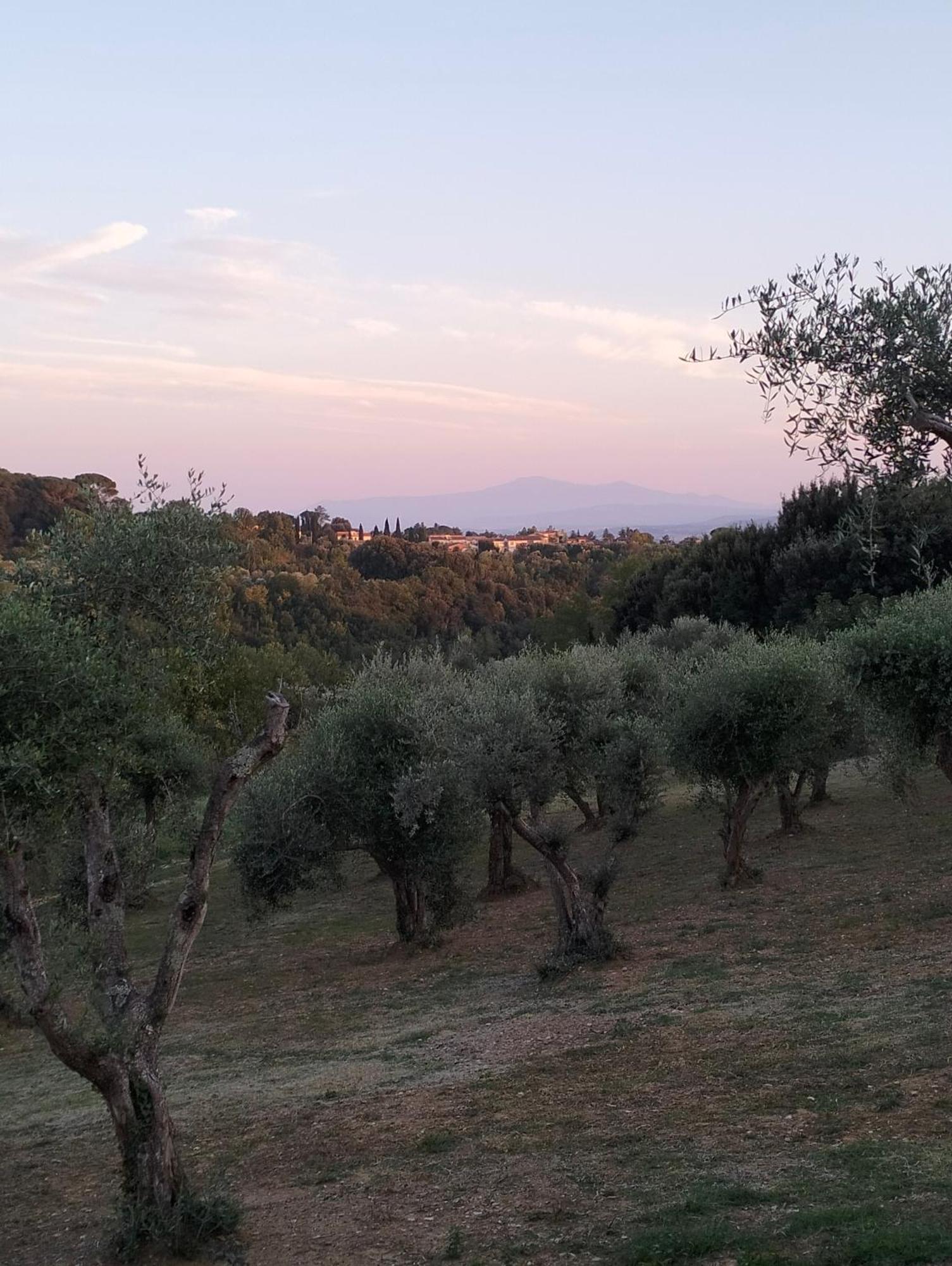 Agli Olivi Di Marciano Apartamento Siena Exterior foto