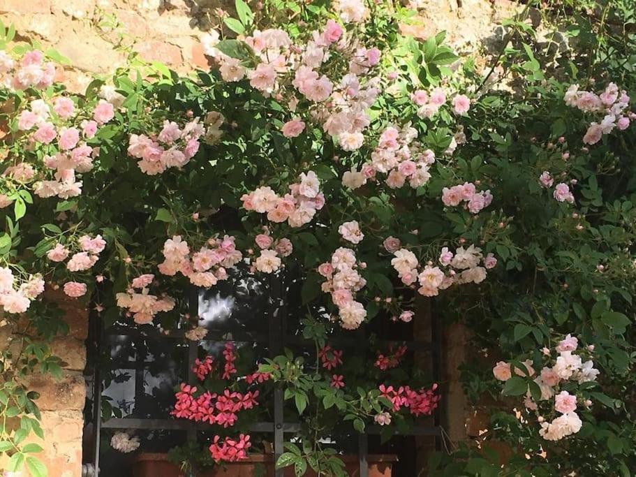 Agli Olivi Di Marciano Apartamento Siena Exterior foto